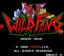 Tecmo Knight